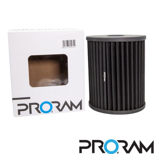 Filtre à air de remplacement ProRAM plissé RAMAIR – Audi A7 / A6 / S6 / S7 – PPF-2051