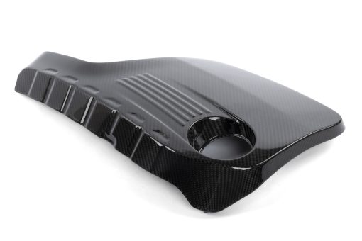 Cache moteur carbone brillant 2x2 (S55) DINAN – BMW M3 / M4 / M2 – D590-0006