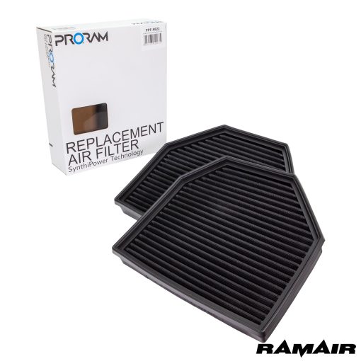 Filtre à air de remplacement ProRAM plissé RAMAIR – PPF-9822