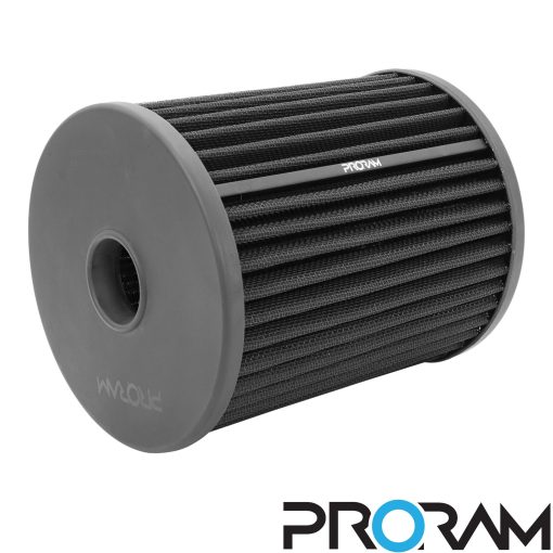 Filtre à air de remplacement ProRAM plissé RAMAIR – Audi RS6 / RS7 – PPF-2044