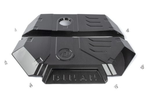 Cache moteur carbone brillant 2x2 (F97/F98) DINAN – BMW X4 / X4 M / X3 / X3 M – D590-0001